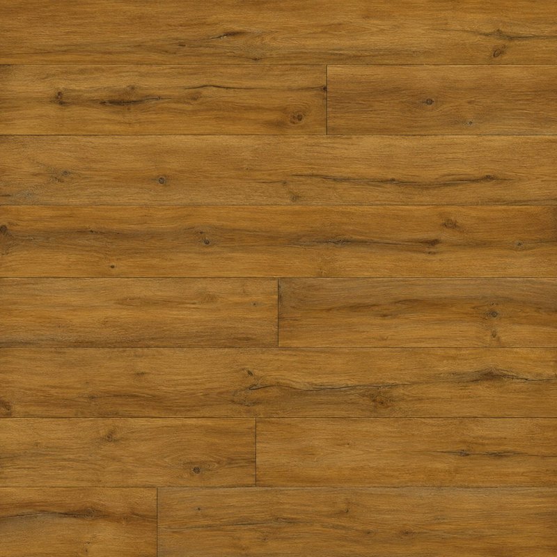 Amber Oak