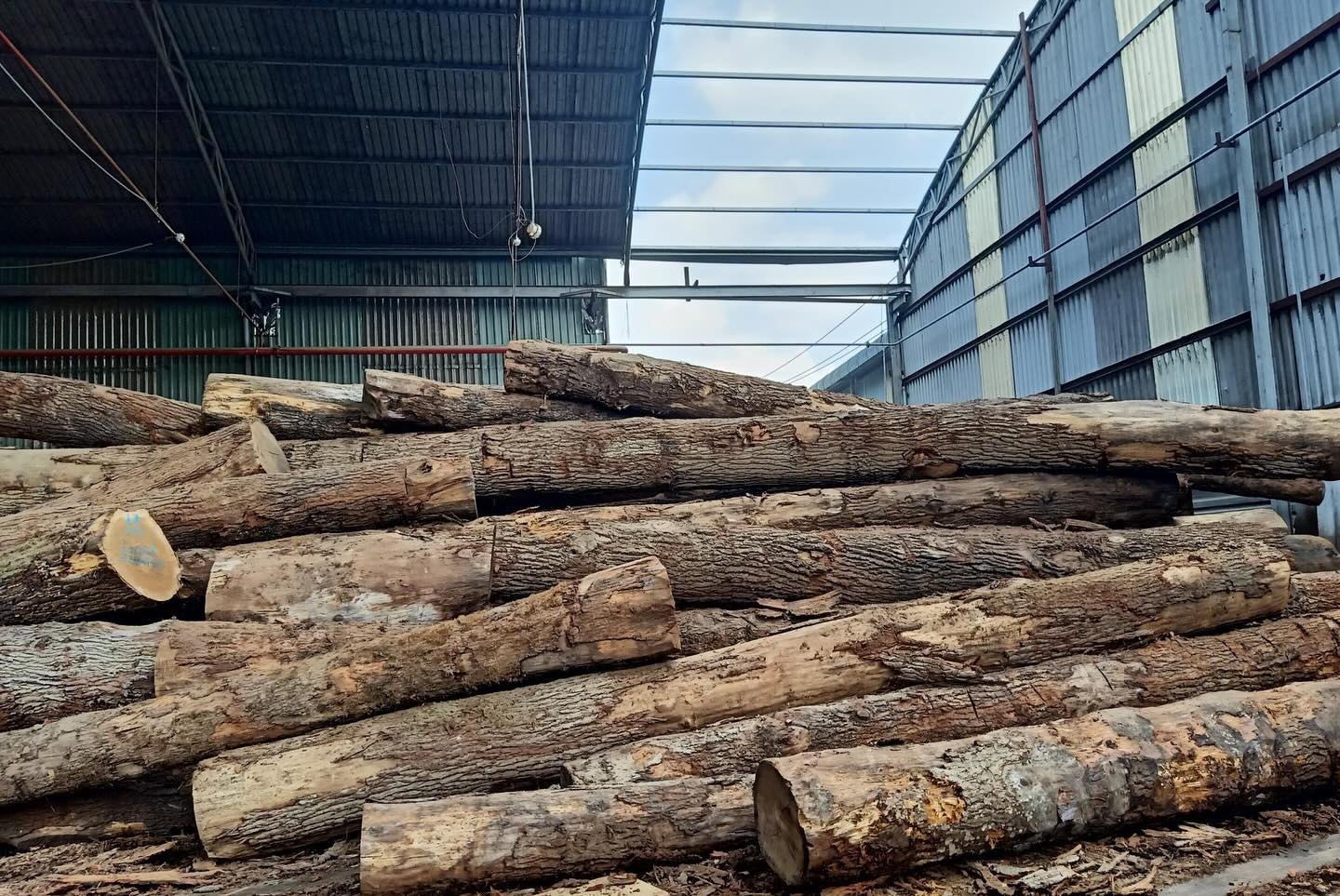 Vu Uy Wood production line